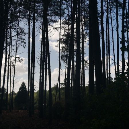 Forest Heath Shepherd'S Huts 링우드 외부 사진