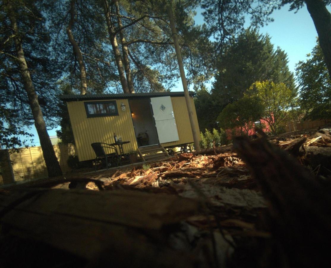 Forest Heath Shepherd'S Huts 링우드 외부 사진