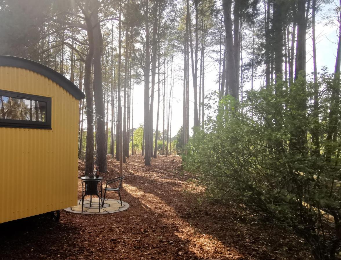 Forest Heath Shepherd'S Huts 링우드 외부 사진