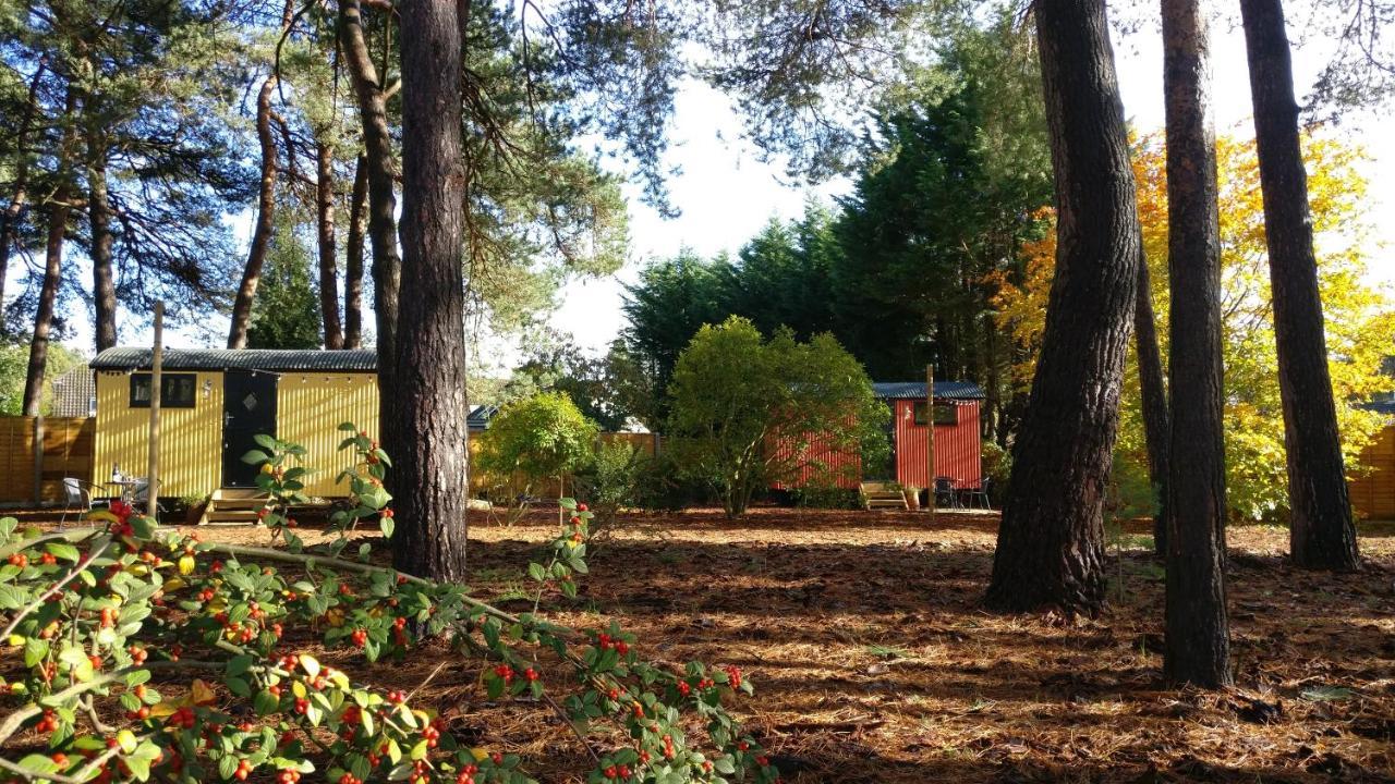 Forest Heath Shepherd'S Huts 링우드 외부 사진