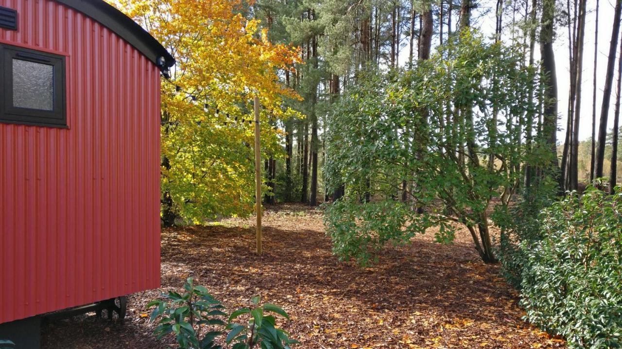 Forest Heath Shepherd'S Huts 링우드 외부 사진