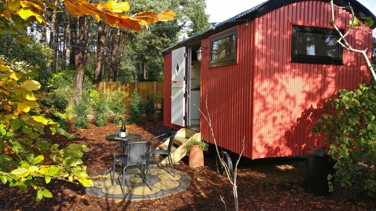 Forest Heath Shepherd'S Huts 링우드 외부 사진
