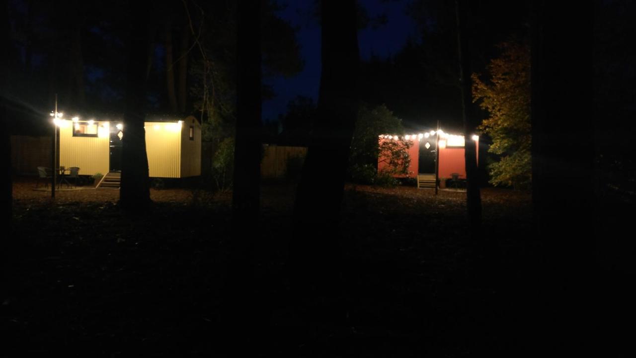 Forest Heath Shepherd'S Huts 링우드 외부 사진
